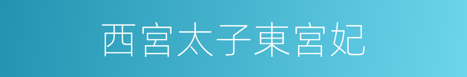 西宮太子東宮妃的同義詞