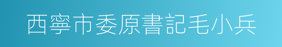 西寧市委原書記毛小兵的同義詞