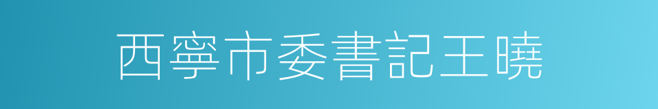 西寧市委書記王曉的同義詞