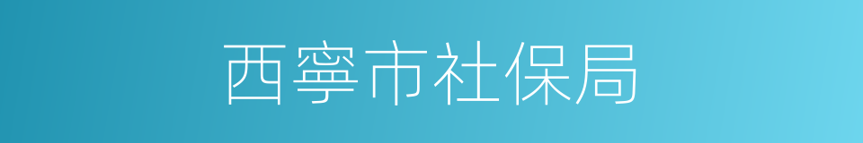 西寧市社保局的同義詞