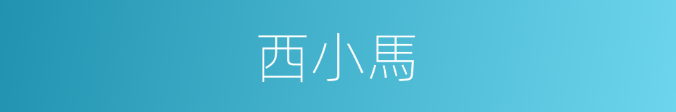 西小馬的同義詞