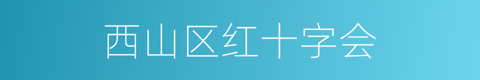 西山区红十字会的同义词