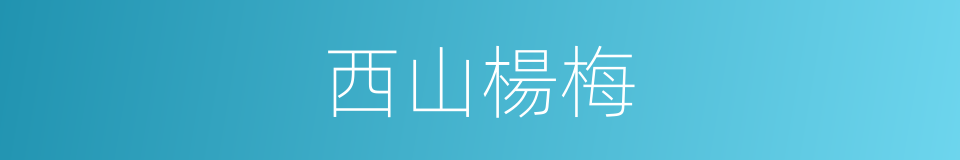 西山楊梅的同義詞
