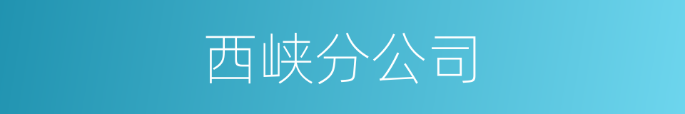 西峡分公司的同义词