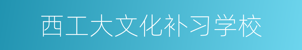 西工大文化补习学校的同义词