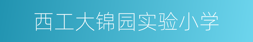 西工大锦园实验小学的同义词