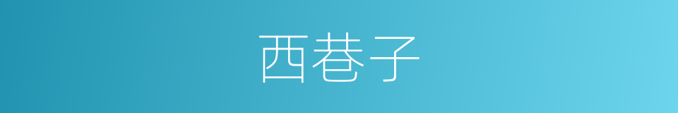 西巷子的同义词