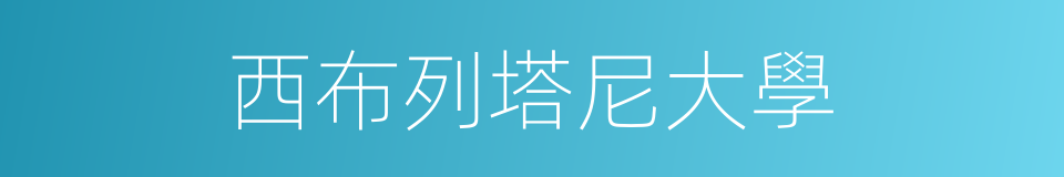 西布列塔尼大學的同義詞