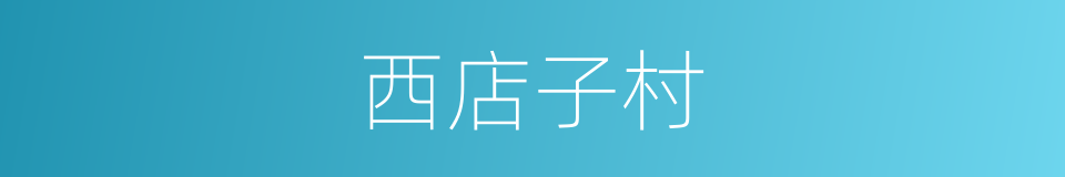 西店子村的同义词