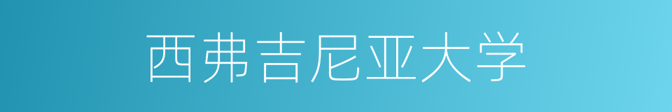 西弗吉尼亚大学的同义词