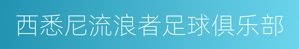 西悉尼流浪者足球俱乐部的同义词