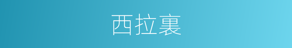 西拉裏的同義詞