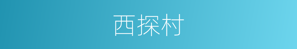 西探村的同义词