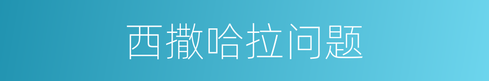 西撒哈拉问题的同义词