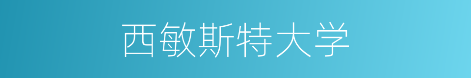 西敏斯特大学的同义词