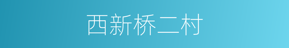 西新桥二村的同义词