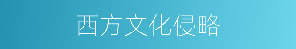 西方文化侵略的同义词