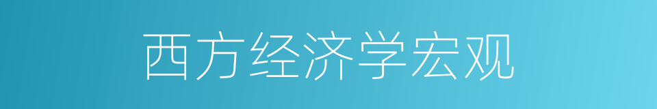 西方经济学宏观的同义词