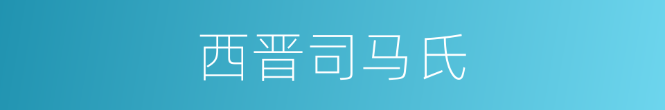 西晋司马氏的同义词