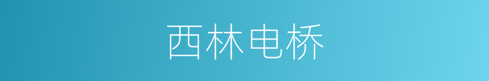 西林电桥的同义词