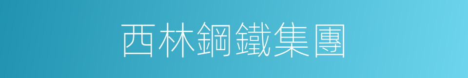 西林鋼鐵集團的同義詞