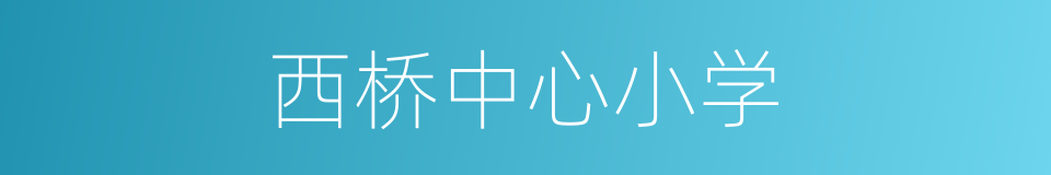 西桥中心小学的同义词