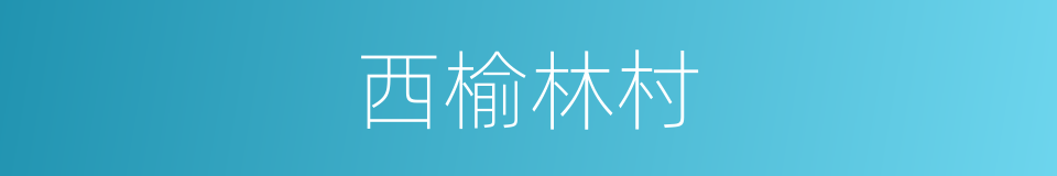 西榆林村的同义词