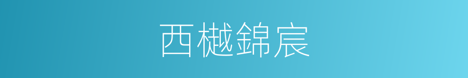 西樾錦宸的同義詞