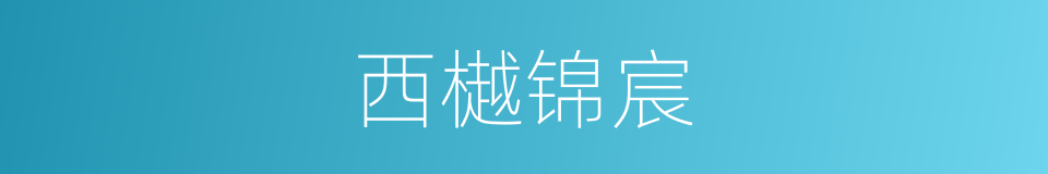 西樾锦宸的同义词