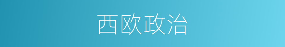 西欧政治的同义词