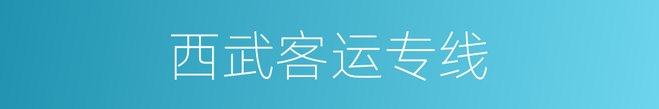 西武客运专线的同义词