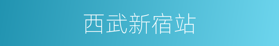 西武新宿站的同义词