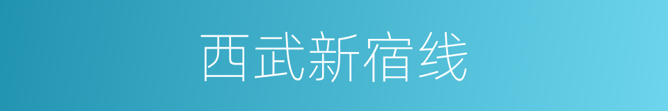 西武新宿线的同义词