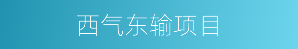西气东输项目的同义词