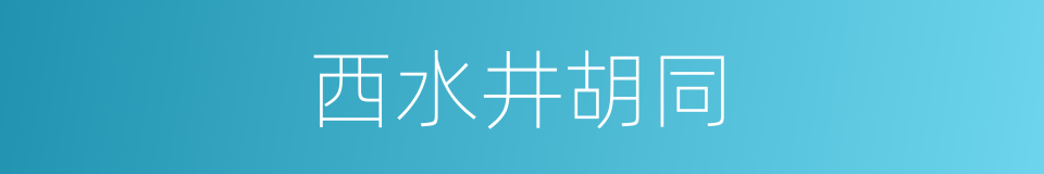 西水井胡同的同义词