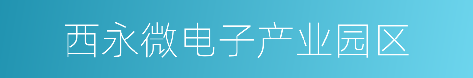 西永微电子产业园区的同义词