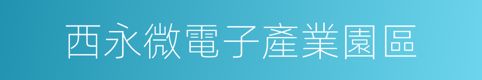 西永微電子產業園區的同義詞