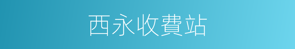 西永收費站的同義詞