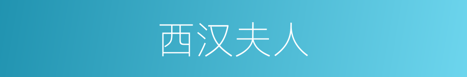 西汉夫人的意思