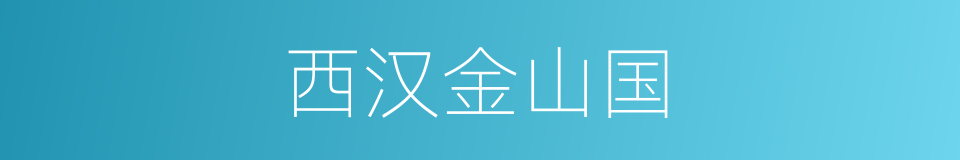 西汉金山国的同义词
