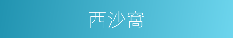 西沙窩的同義詞