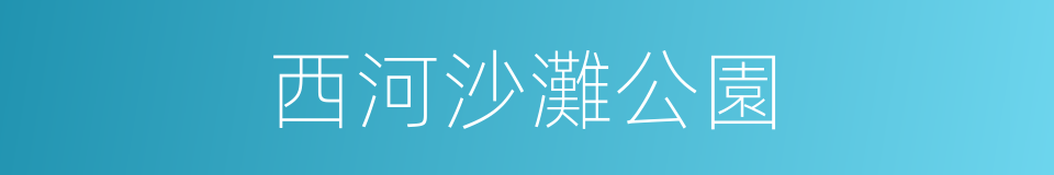 西河沙灘公園的同義詞