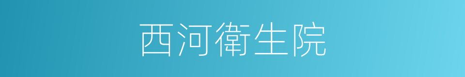西河衛生院的同義詞