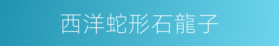 西洋蛇形石龍子的同義詞