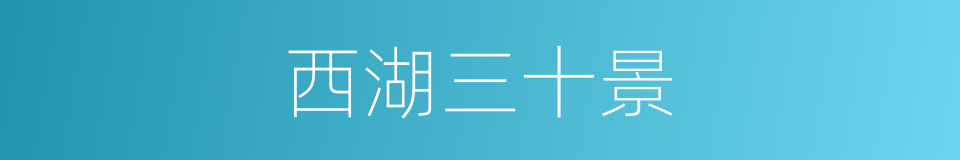 西湖三十景的同义词