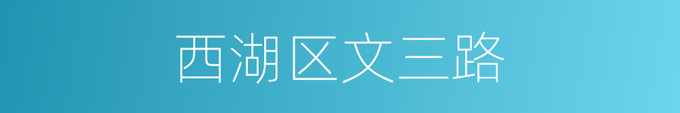 西湖区文三路的同义词