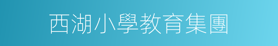 西湖小學教育集團的同義詞