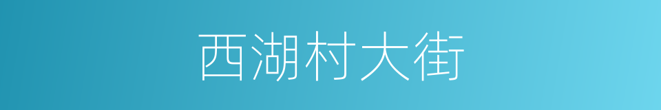 西湖村大街的同义词