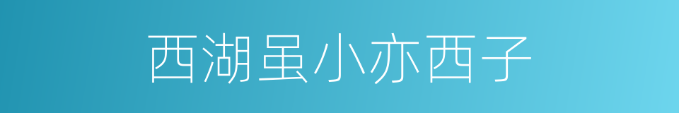 西湖虽小亦西子的同义词