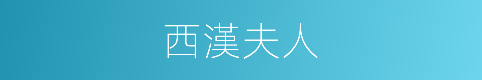 西漢夫人的意思